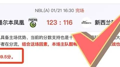 亚博赞助英超队，品牌影响力提升
